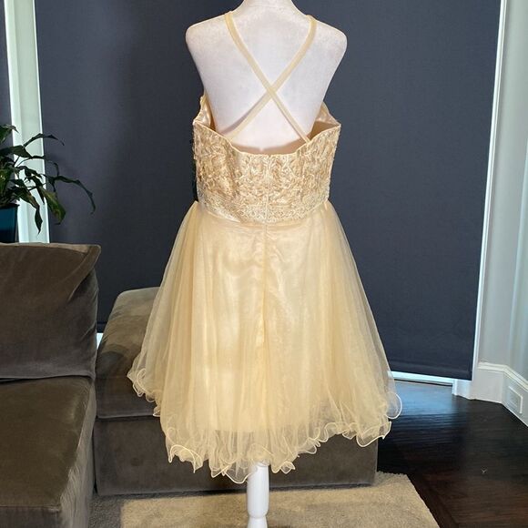 Women’s Sleeveless Short Prom Party Dress Size 14 NWT *READ DESCRIPTION - Picture 4 of 11